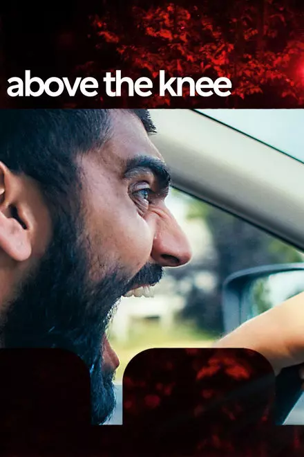 Above The Knee