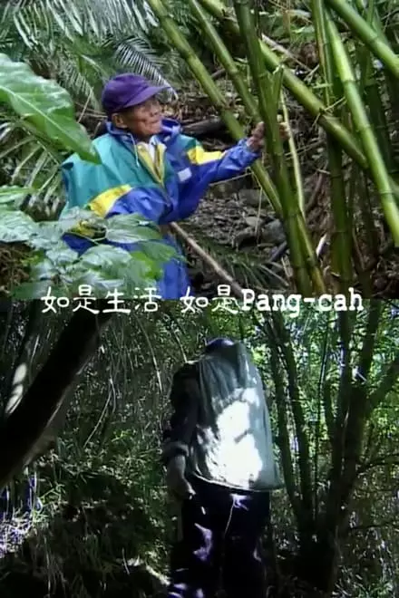 As Life, As Pangcah