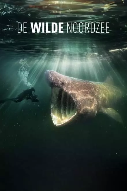 North Sea â€“ Nature Untamed